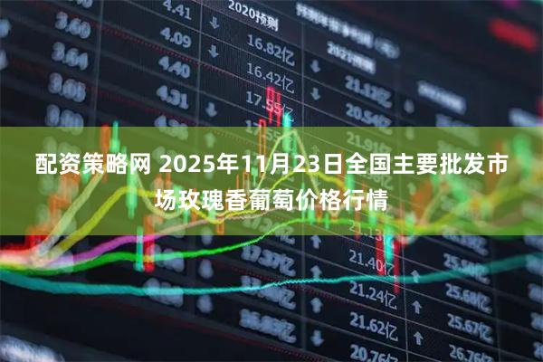 配资策略网 2025年11月23日全国主要批发市场玫瑰香葡萄价格行情