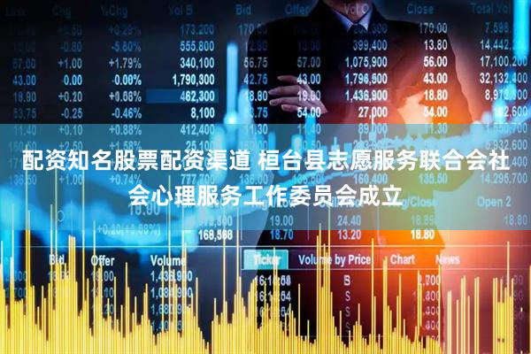 配资知名股票配资渠道 桓台县志愿服务联合会社会心理服务工作委员会成立